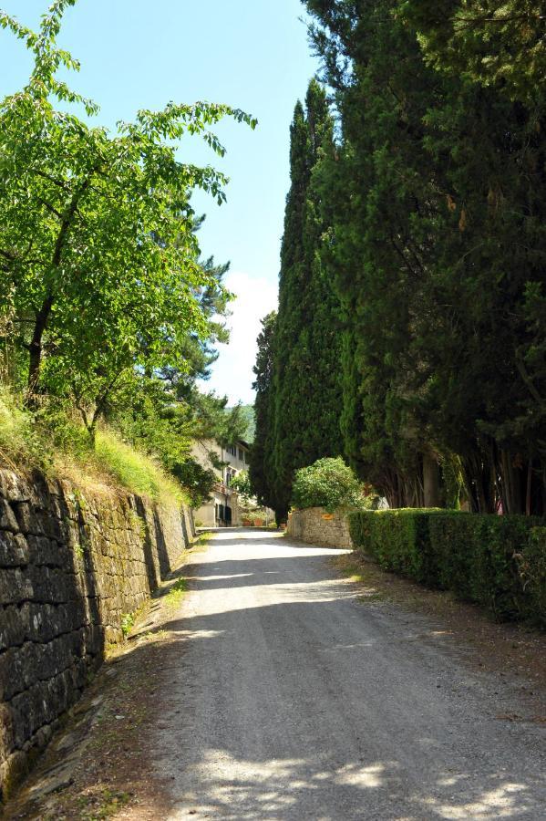 La Colonica Villa Londa Bagian luar foto